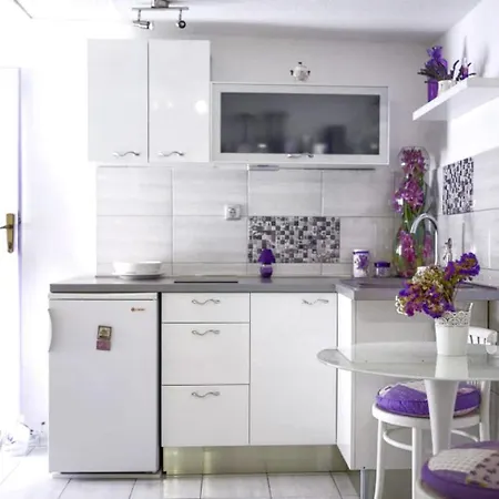 House Marie's Lavander Dream Raslina